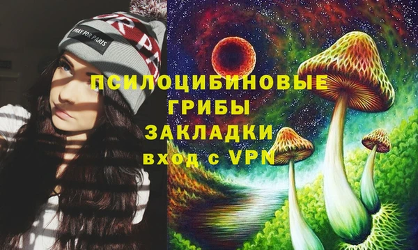 молекула духа Комсомольск