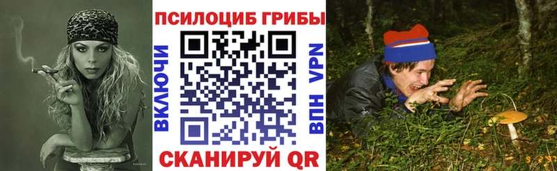 Псилоцибиновые грибы прущие грибы  Малгобек 